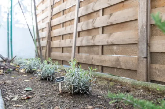 馬賽市中心公寓