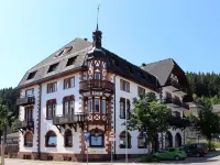 Hotel Neustädter Hof Hotels near Zirkusplatz Titisee-Neustadt