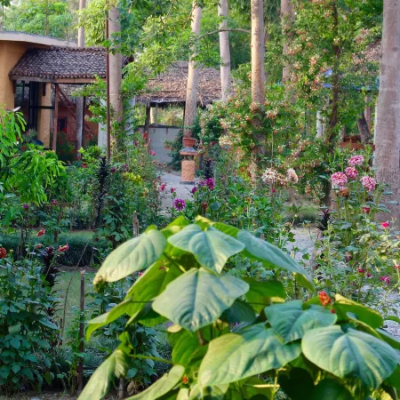 River View Jungle Camp