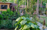 River View Jungle Camp Hotels in 