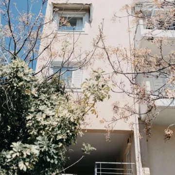 Best House, Nirvana, Patra