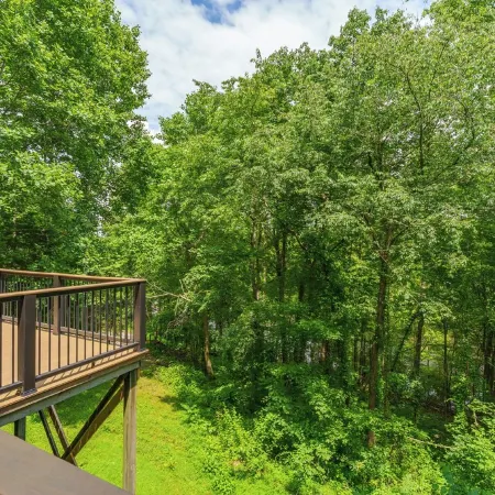 Private Lakeview Rustic Cabin on Barren River Lake -40 min from Beech Bend + WKU