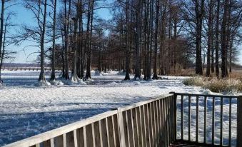 Reelfoot Lake Inn