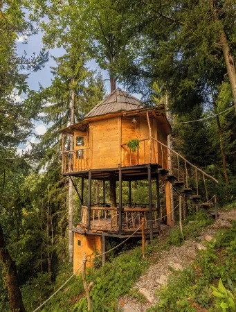 Hill Inn Отели в г. Силибаури