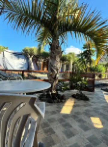 Agrocamping Invernaderito