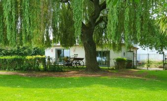 Le Domaine du château Blanc à 10 Minutes de Paira Daiza