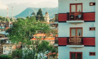 Coffee Tree Boutique Hostel