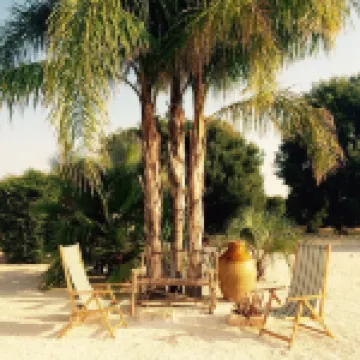 Idyllic Olive Mill with Heated Pool, in an Olive Grove, Close to Sea and Ostuni