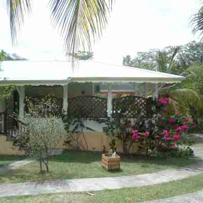 Detached apartment in villa Hotel Exterior
