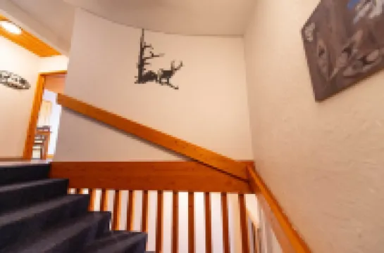 Chalet in Oz station from 8 to 20 pers