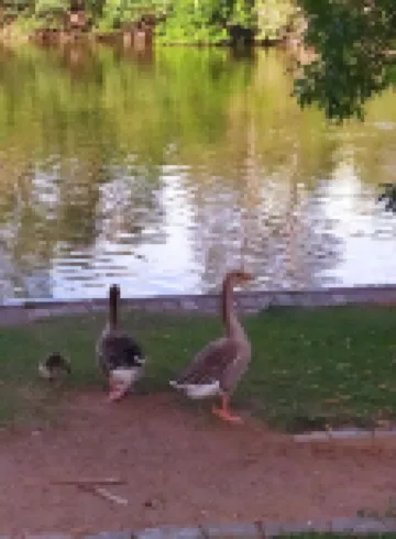 House in Atibaia with pool