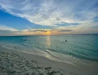 Amazing Ground Floor 2 BR Condo in Malmok close to Arashi Beach