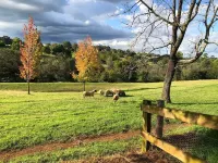 Tranquil Farmstay Cottage KURRAJONG on acres pet friendly 1 hr Syd