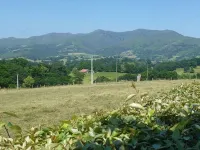Basque house located between sea and mountains. Hotels in Irissarry