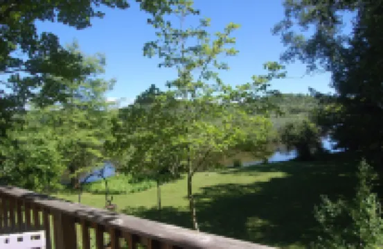 Secluded Cottage On Beautiful Stony Lake and Creek 奧希阿納縣酒店