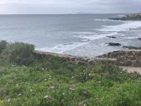 Stylishly appointed ocean-front condo with breathtaking panoramic views