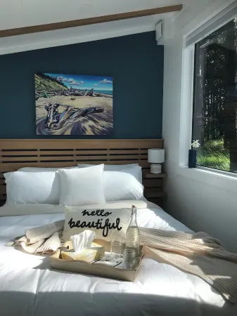 Oceanfront, newly built, modern tiny home with beach access! Отели в г. Скина-Квин Шарлотт