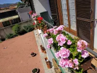 Casa Marina .. a stone's throw from the center!