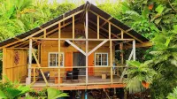 TREE FROG HOUSE: Waterfront, Caribbean Island Jungle Cabin in Bastimentos w/ AC Hotels in Bastimento
