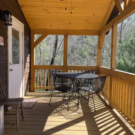 Rustic Mountain Cabin 225