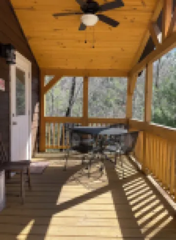 Rustic Mountain Cabin 225