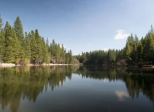 Spacious Large Homestyle Family Cabin  in LMP Arnold