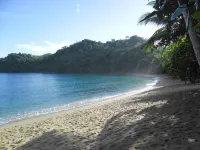 Secluded Hillside Cottage with Bay & Rainforest Views, Just 5 Mins to the Beach