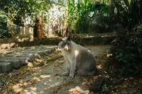 คาซ่า ซันติ เอช โรงแรมใกล้Ex Convento Dominico de la Natividad