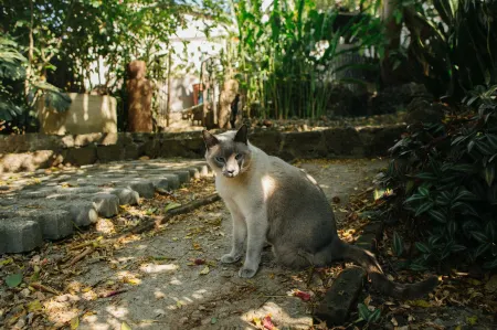 Casa Santi H Отели рядом с достопримечательностью «Ex Convento Dominico de la Natividad»