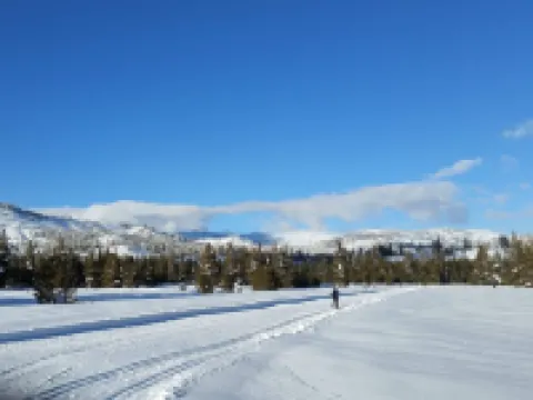 Sunny, Spacious & Pet Friendly - Creekside #39 Hotels in Bear Valley