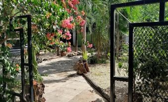 Casa Otilia - Hospedaje