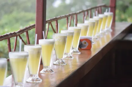 Mirador Valle del General Отели в г. Перес Селедон