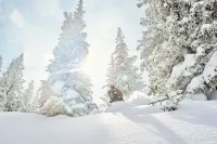 Luxe 2Brden Ritz-Carlton Residence Quiet Location