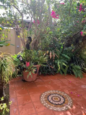 STUDIO  Walking distance to beach.