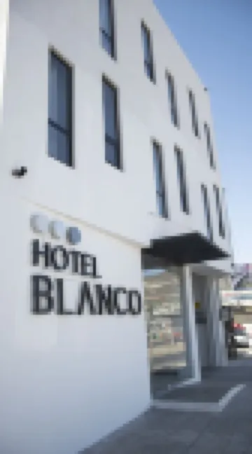 Hotel Blanco Pachuca Hoteles en 
