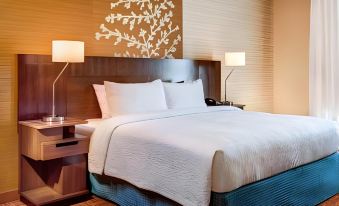 Fairfield Inn & Suites Houston North/Spring
