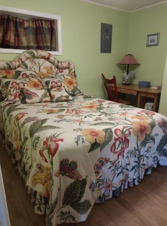 Waterfront cabin in the mountains. Peaceful, relaxing setting.