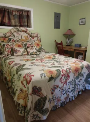 Waterfront cabin in the mountains. Peaceful, relaxing setting.