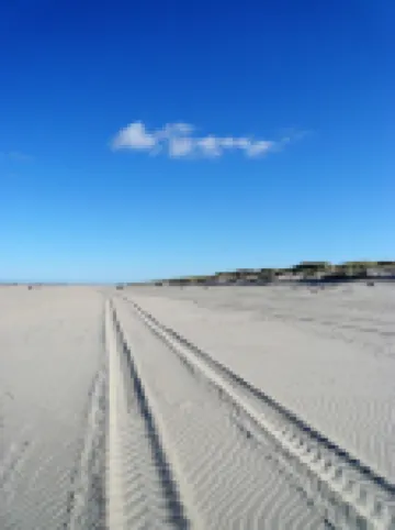 Very central, near the beach non-smoking apartment, suitable for seniors, WiFi