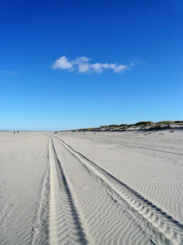 Very central, near the beach non-smoking apartment, suitable for seniors, WiFi