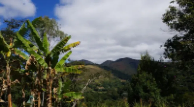 Retreat with Suite in a Secure Condominium | Nature and Stunning Views