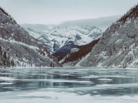 ホテル周辺 フェアモント バンフ スプリングスの写真