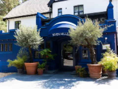 Hilton Cobham Hotels in Cobham