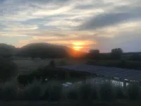 Villa with pool in Capalbio 6 rooms 6 bathrooms immersed in olive grove