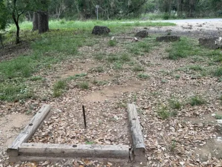 Somewhere Down in Texas