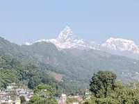 Leasing Apartment for Daily/Weekly/Monthly