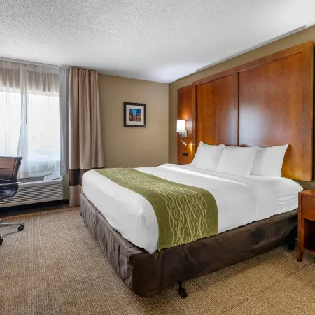 Comfort Inn Romeoville - Bolingbrook Hotels in Will County