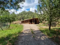 CAL MASSES COME TO DISCONNECT IN THE MIDDLE OF NATURE