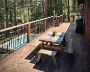 Casa Luna swim spa in the woods