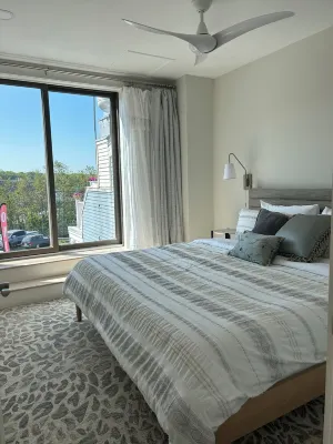 Sunny downtown Belfast apartment with water view, right on Main St near eateries